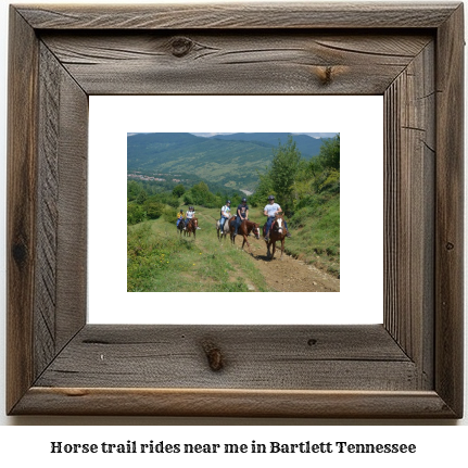 horse trail rides near me in Bartlett, Tennessee